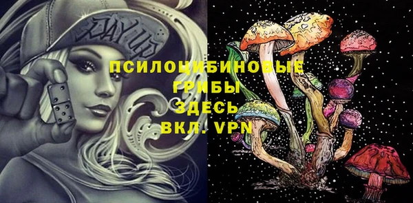 гашик Коряжма