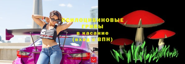 экстази Корсаков