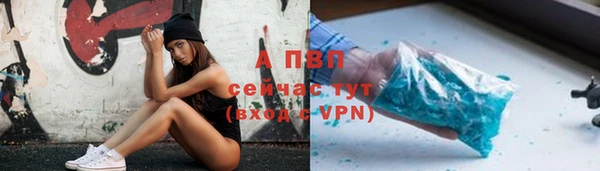 гашик Коряжма