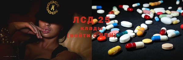 гашик Коряжма