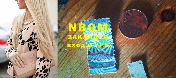 гашик Коряжма