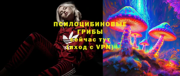 гашик Коряжма